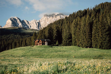 Malga Malider Castelrotto 3 suedtirol.info