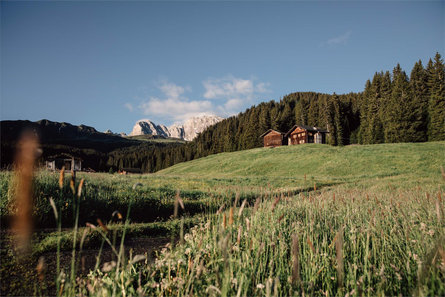 Malga Malider Castelrotto 5 suedtirol.info