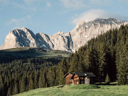 Malga Malider Castelrotto 1 suedtirol.info