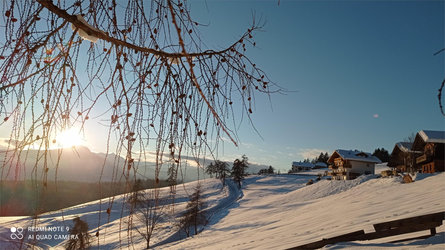 Mandlerhof Vöran 5 suedtirol.info