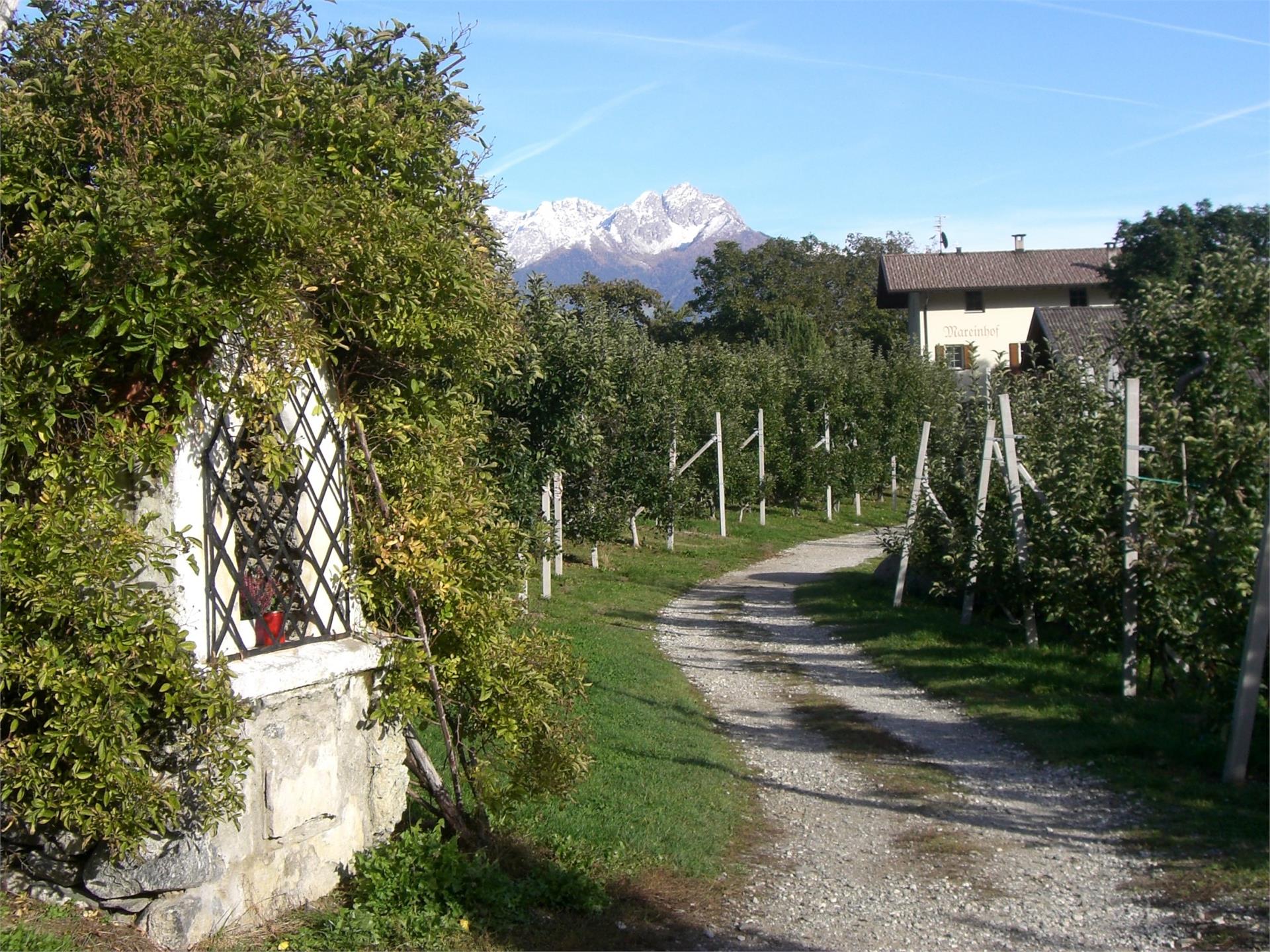 Mareinhof Parcines 8 suedtirol.info