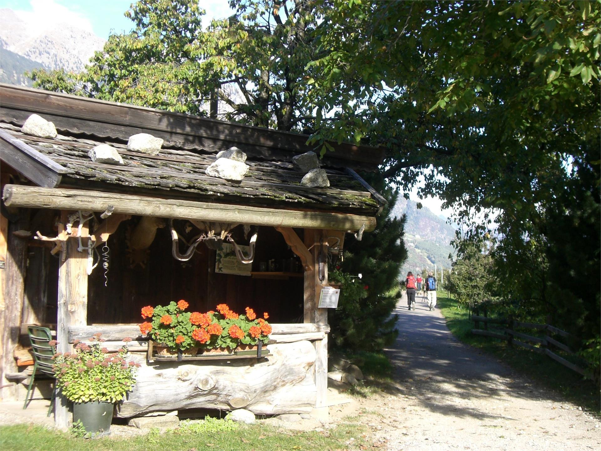 Mareinhof Parcines 3 suedtirol.info