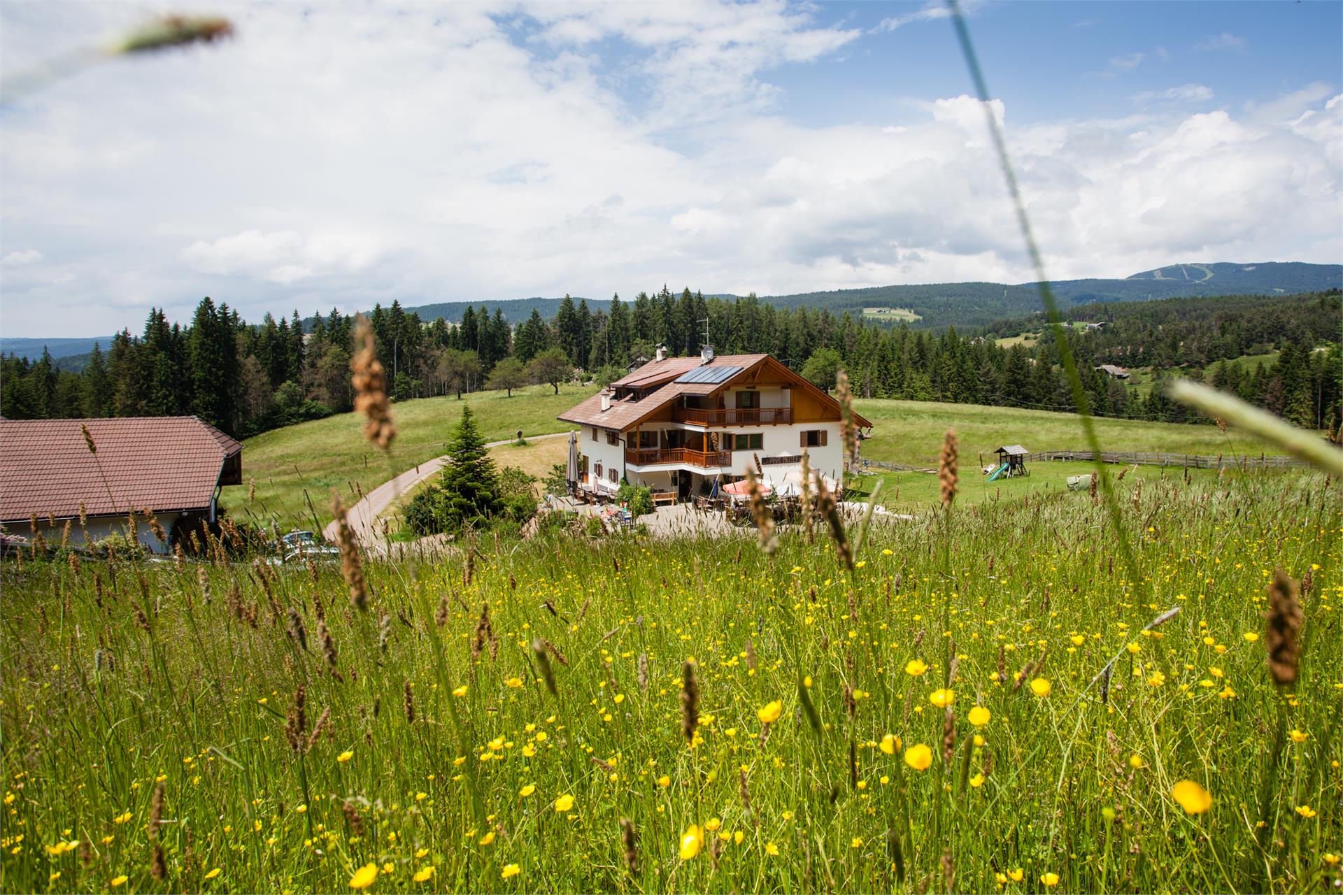 Moserhof Ritten 7 suedtirol.info