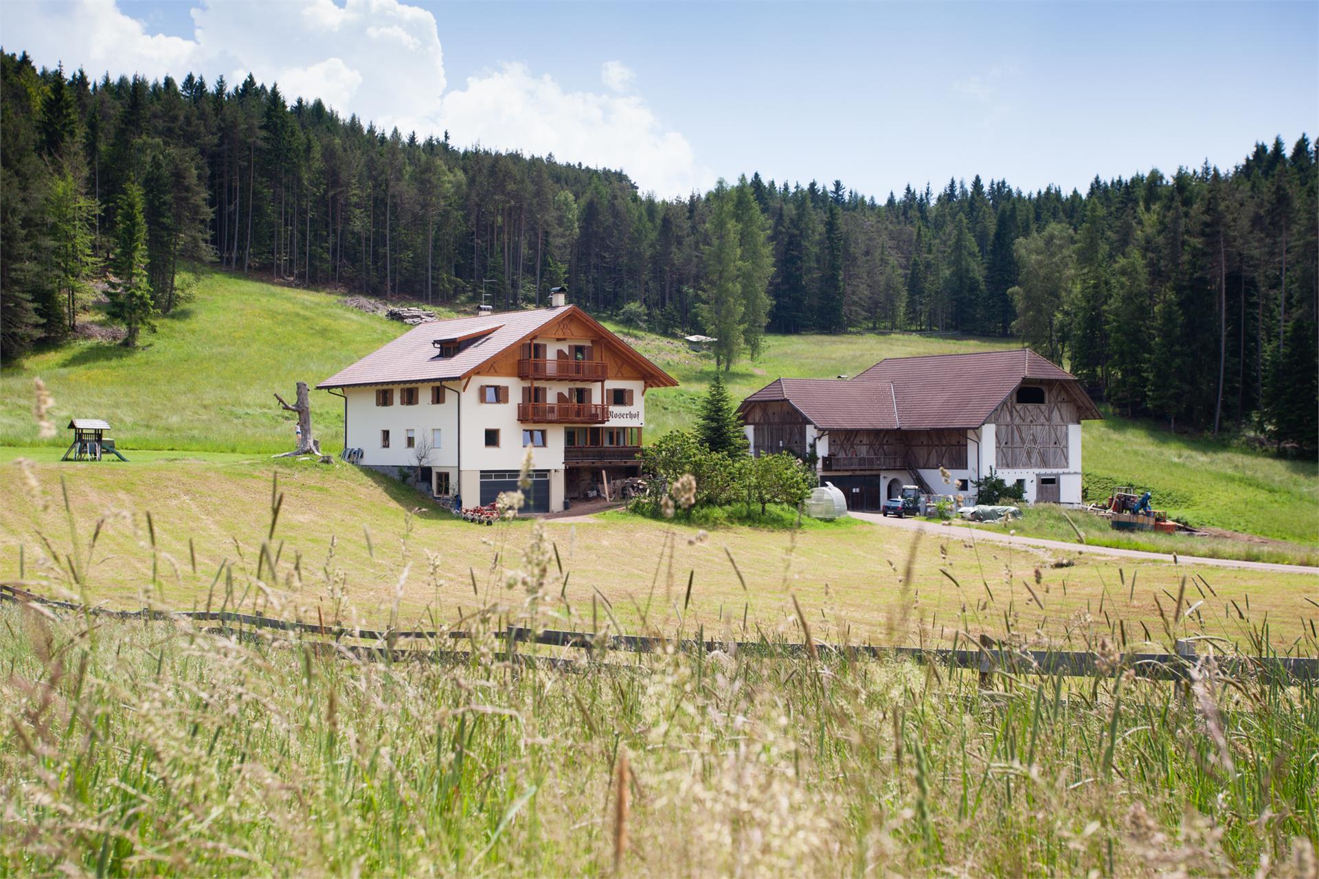 Moserhof Ritten 3 suedtirol.info