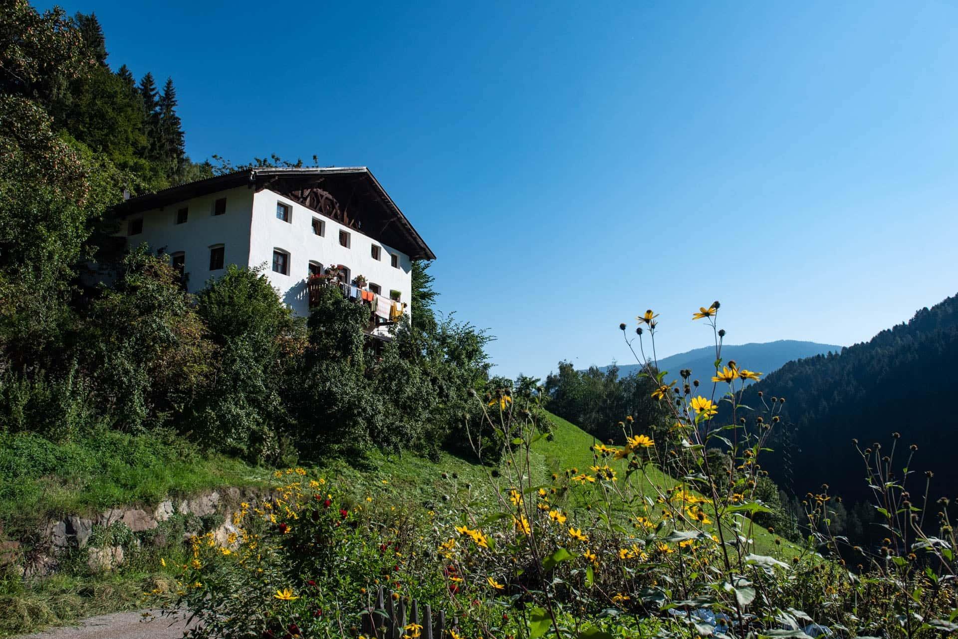 Mitterbirbachhof San Pancrazio 1 suedtirol.info