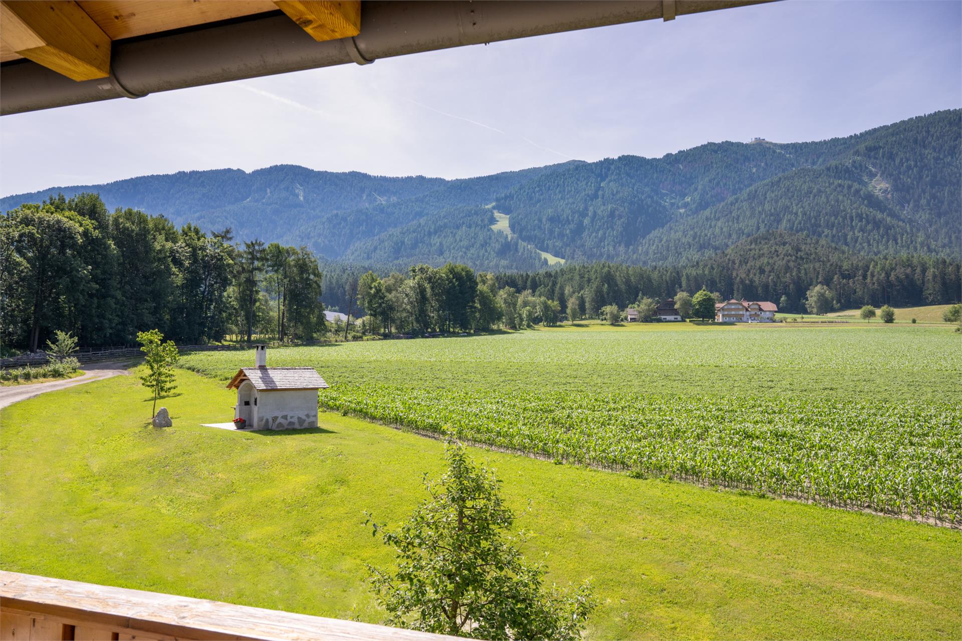 Mair am Bach Bruneck 10 suedtirol.info