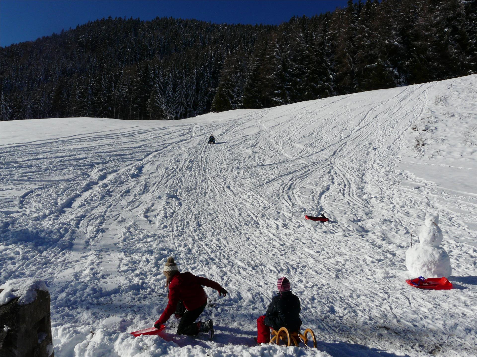 Maso "Masitterhof" Bressanone 8 suedtirol.info