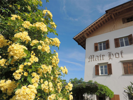 Mairhof Eppan an der Weinstaße/Appiano sulla Strada del Vino 1 suedtirol.info