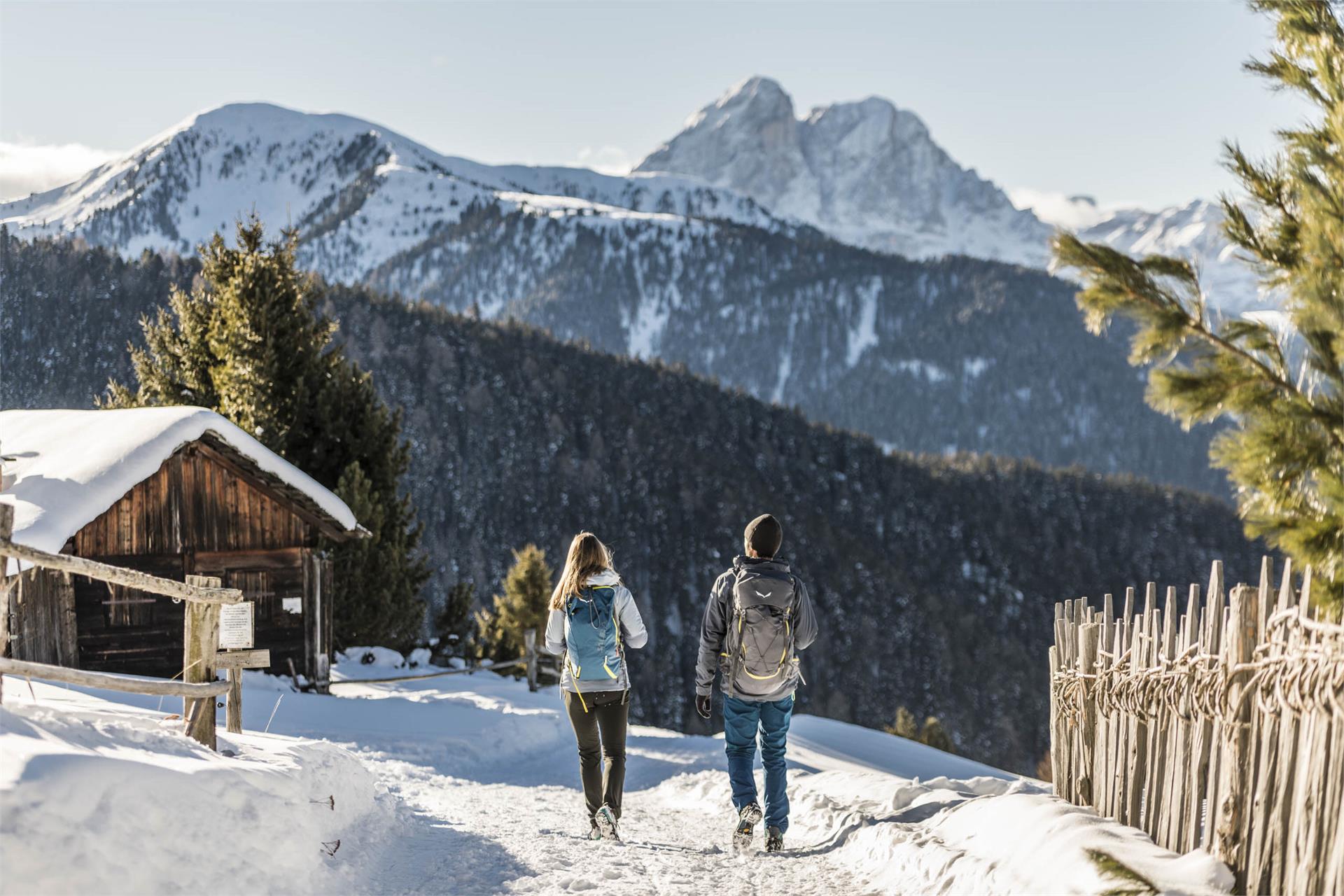 Naturhotel Lüsnerhof Lüsen/Luson 5 suedtirol.info