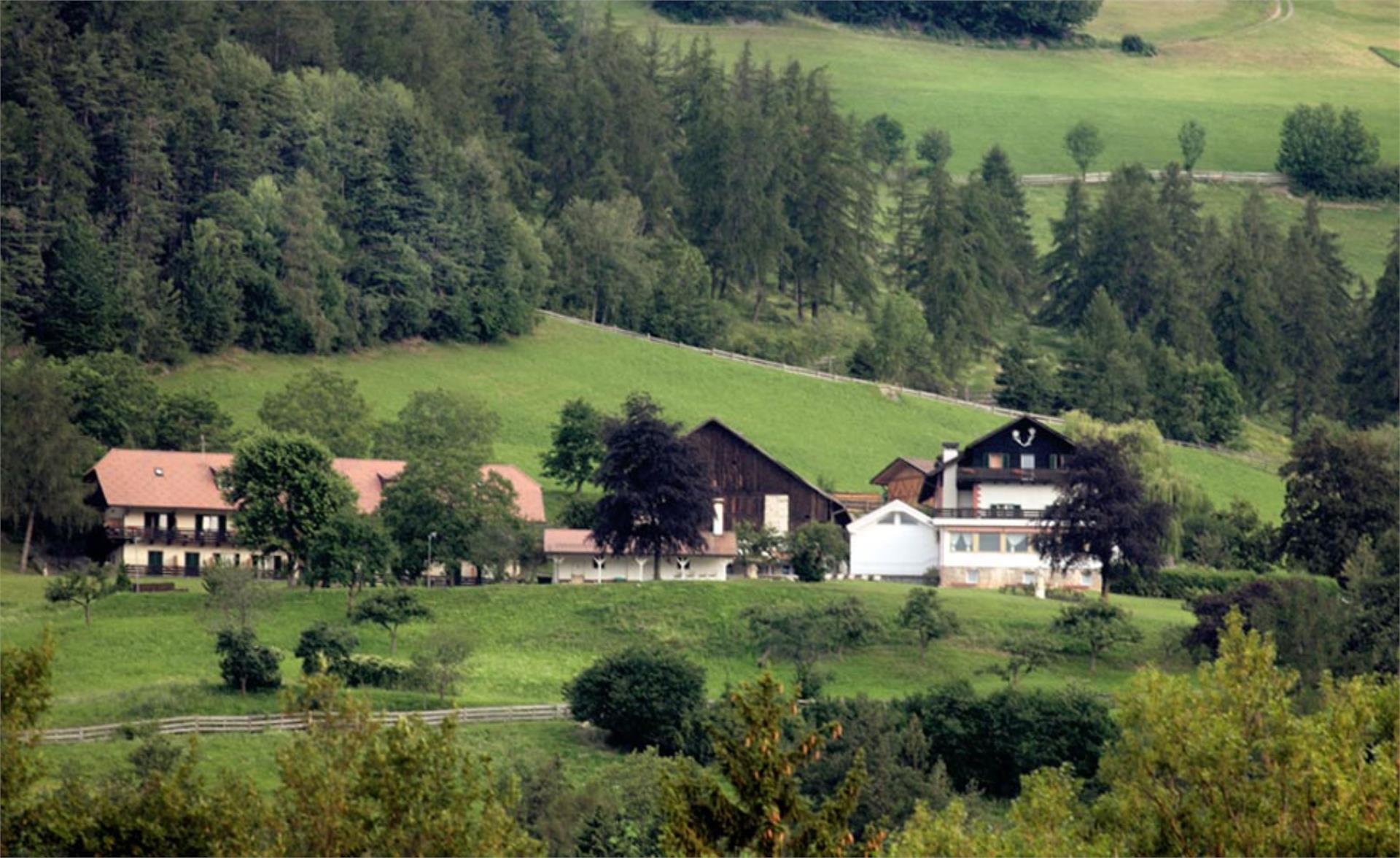 Naturhotel Wieserhof Renon 13 suedtirol.info