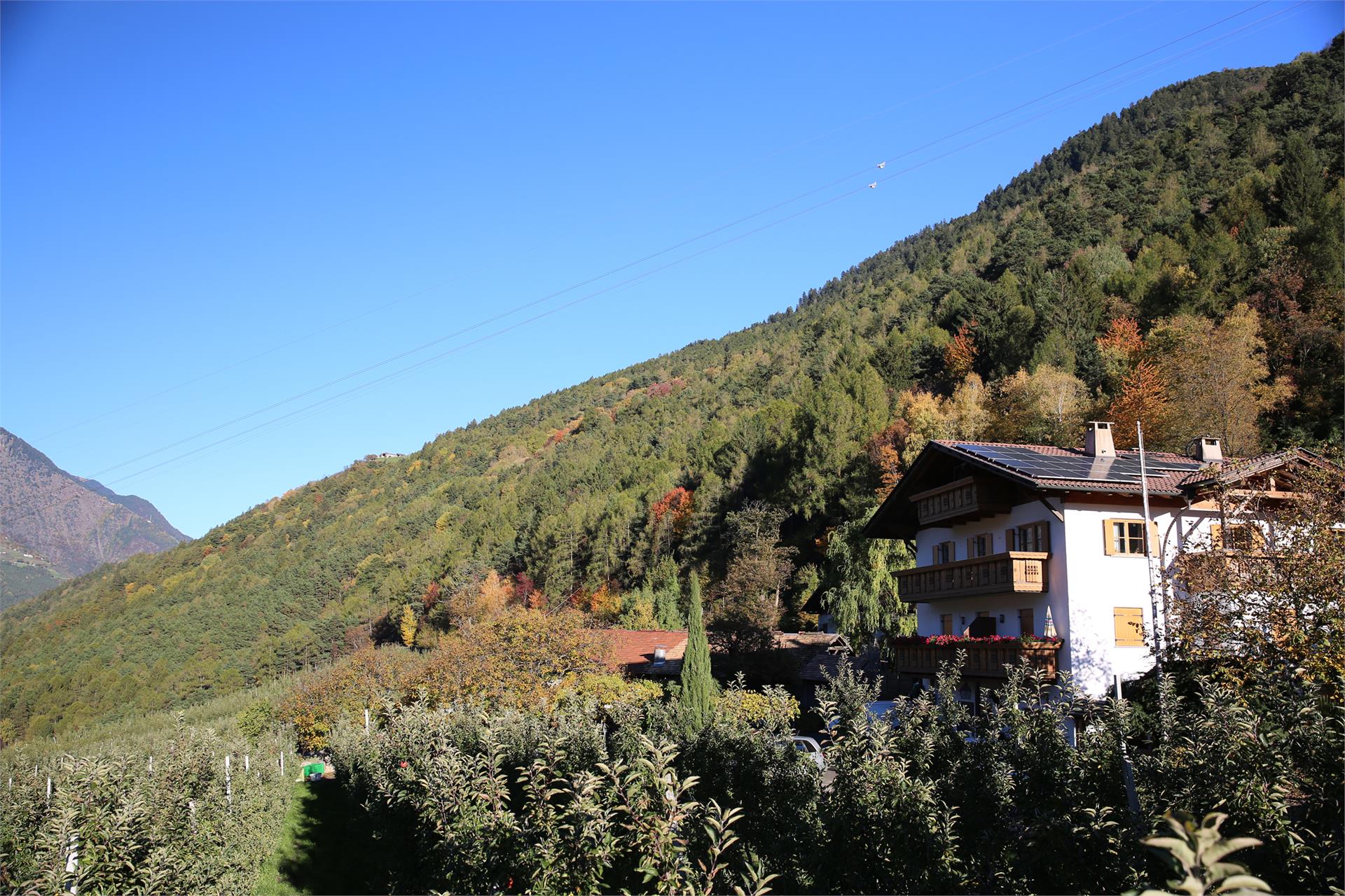 Biohof Niedereben Partschins/Parcines 3 suedtirol.info