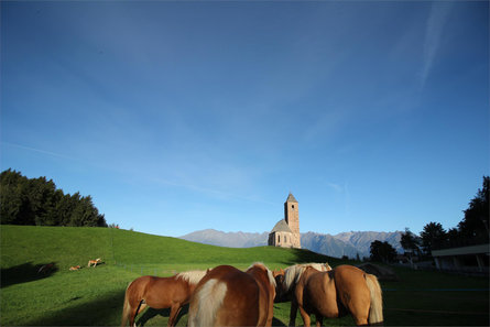 Nusserhof Hafling/Avelengo 10 suedtirol.info