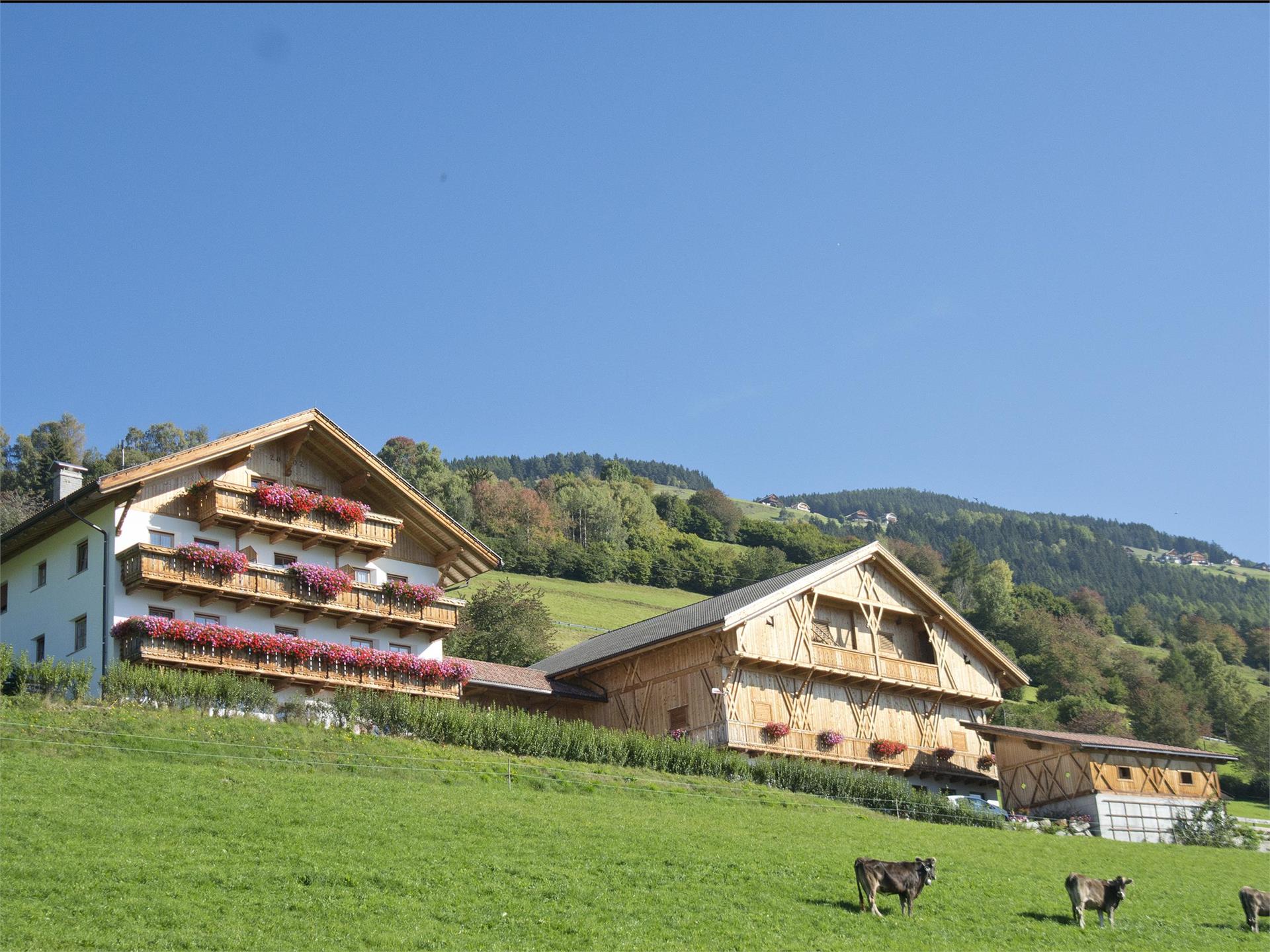 Oberbaumgartnerhof Pfalzen 1 suedtirol.info