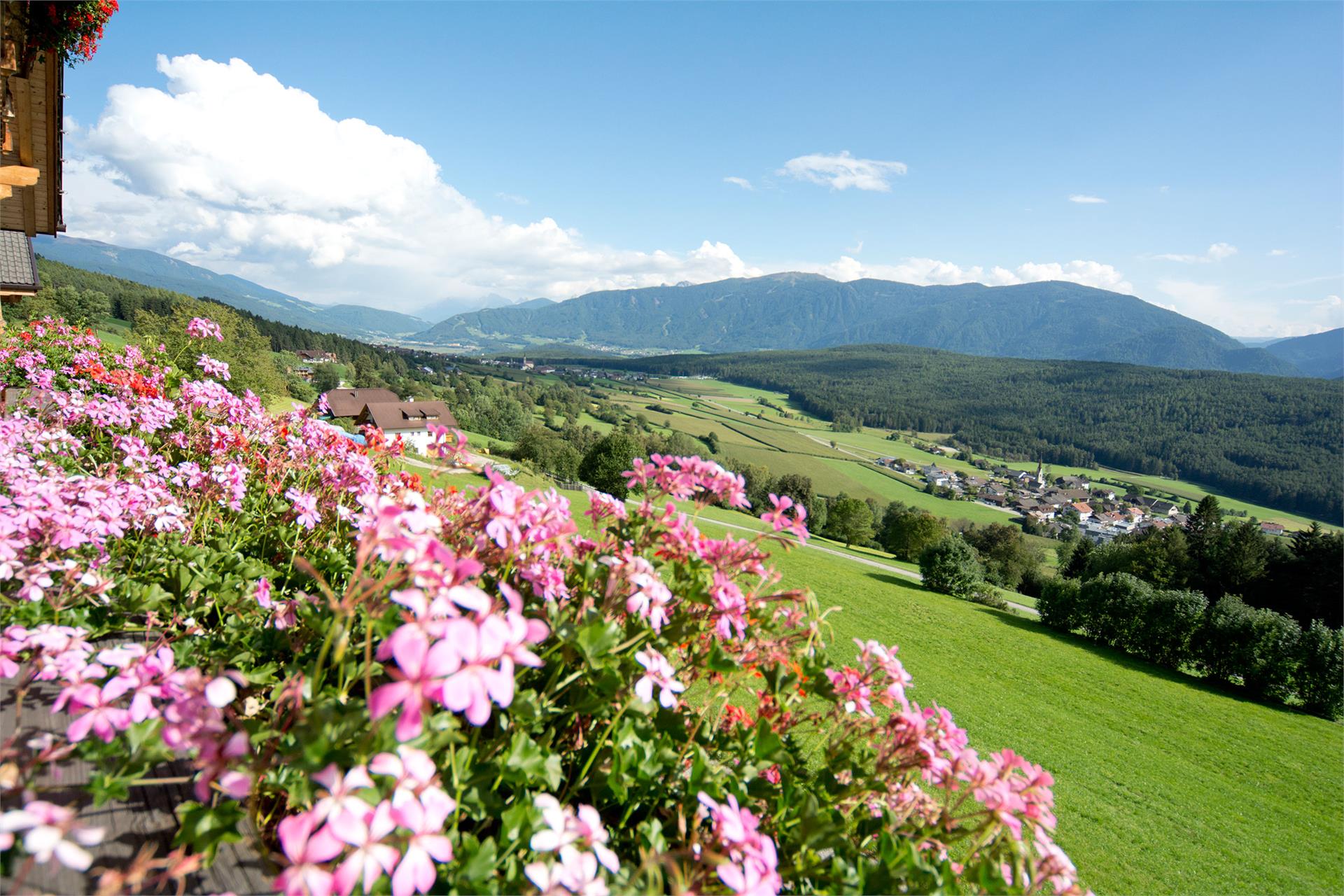 Oberbaumgartnerhof Pfalzen 4 suedtirol.info