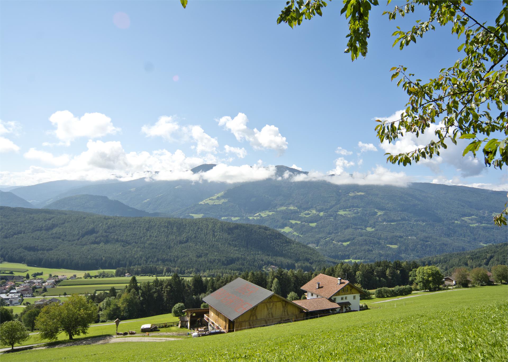 Oberbaumgartnerhof Pfalzen 2 suedtirol.info