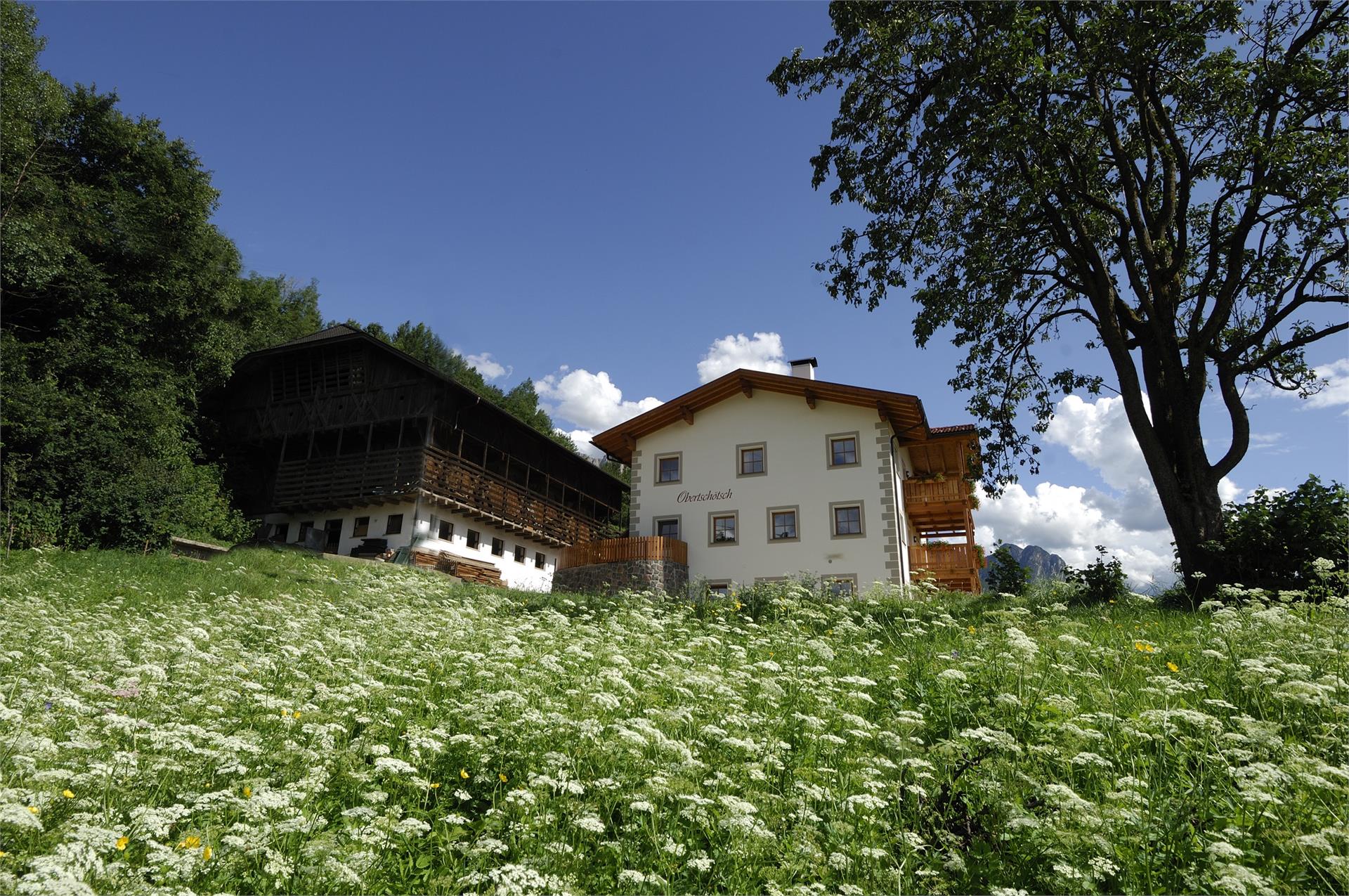 Maso Obertschötscher Kastelruth/Castelrotto 5 suedtirol.info