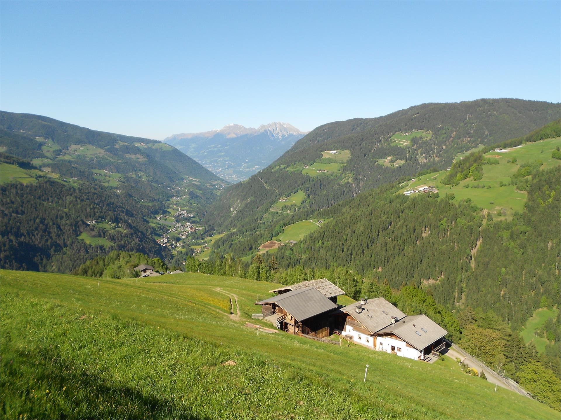 Obereggerhof San Pancrazio 2 suedtirol.info