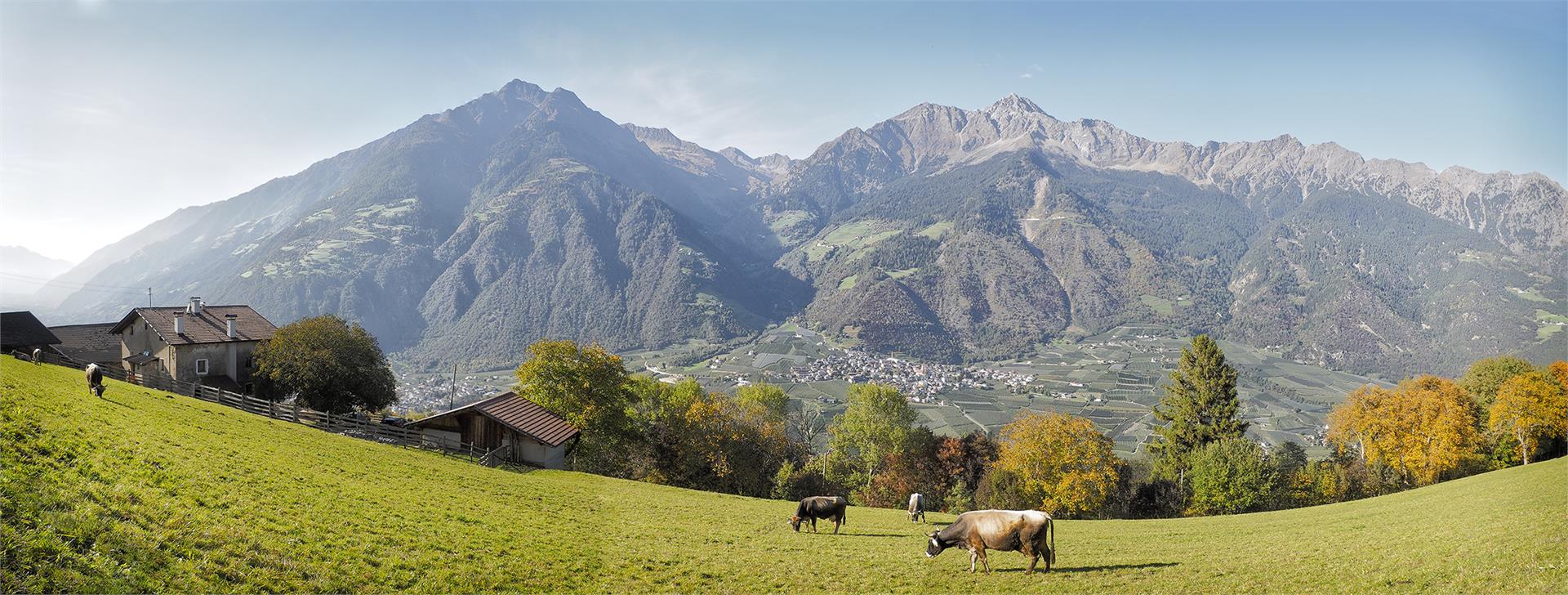 Oberbrunnhof Partschins/Parcines 8 suedtirol.info