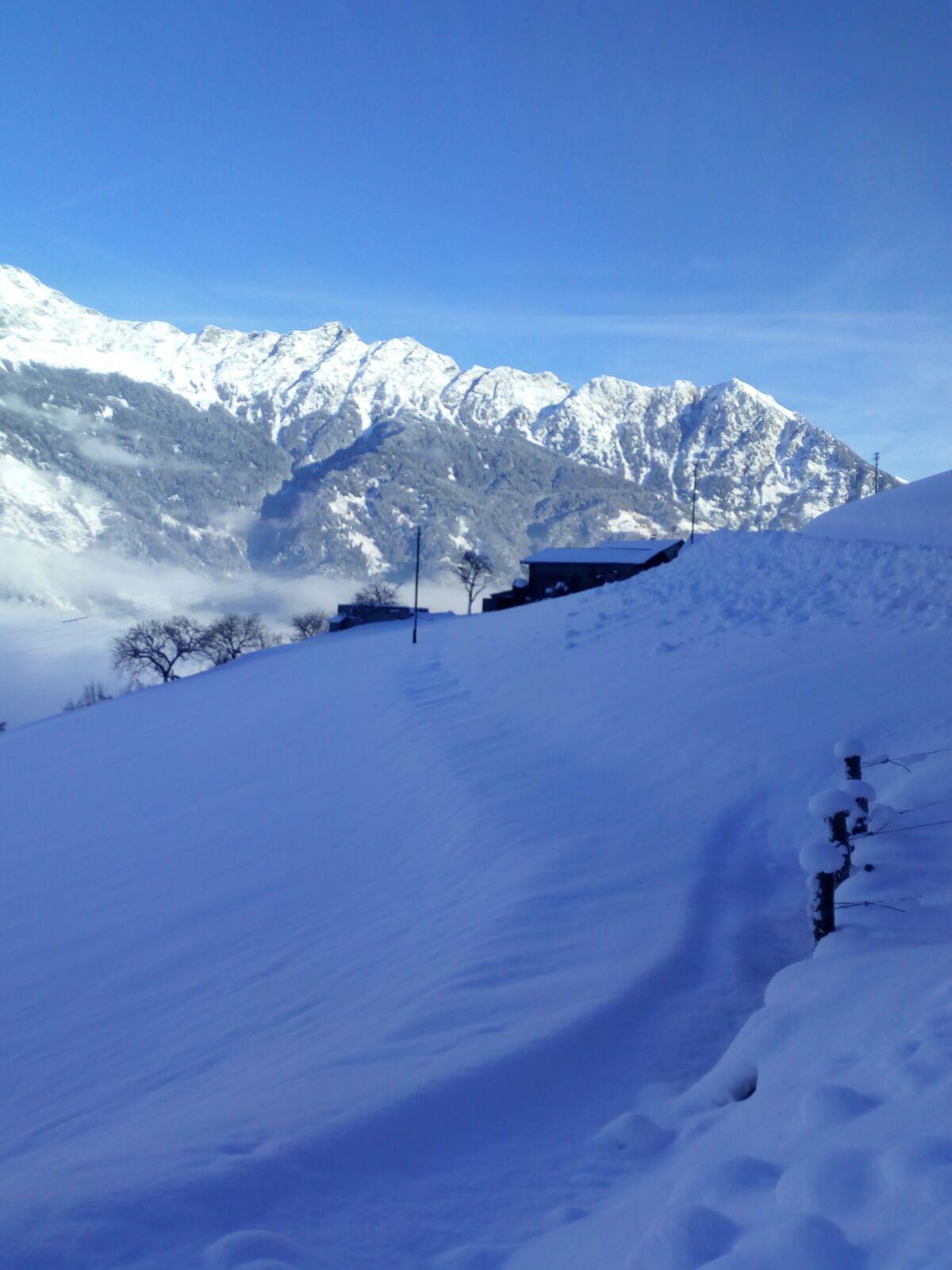 Oberbrunnhof Partschins/Parcines 9 suedtirol.info