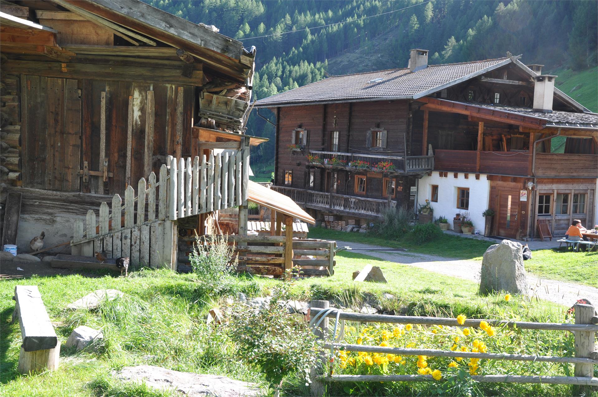 Oberniederhof Schnals 3 suedtirol.info