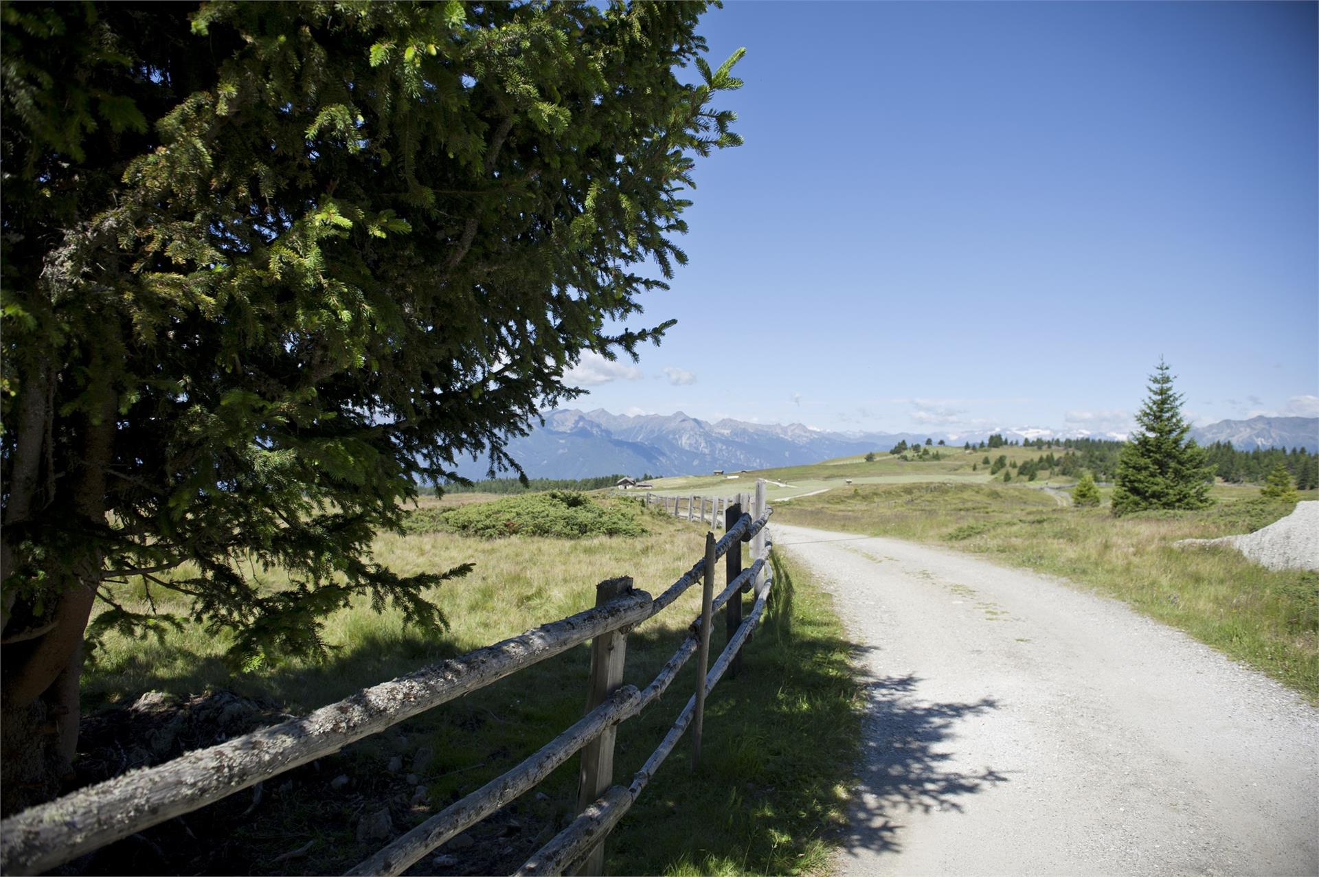 Oberhuberhof Rodeneck/Rodengo 5 suedtirol.info