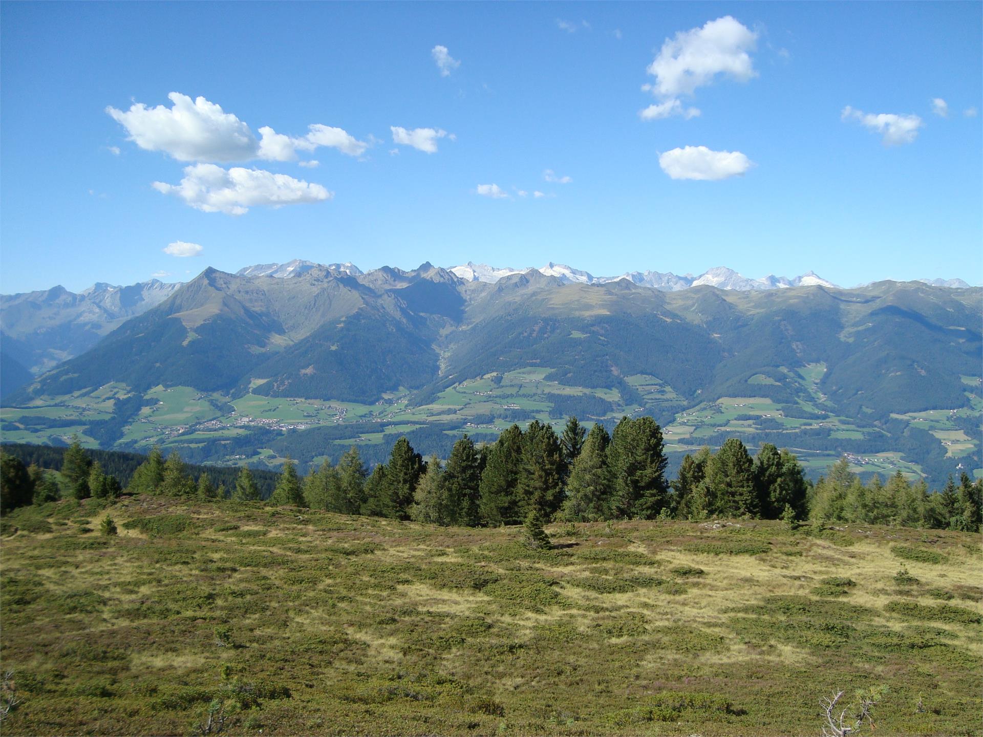 Oberhuberhof Rodeneck/Rodengo 18 suedtirol.info