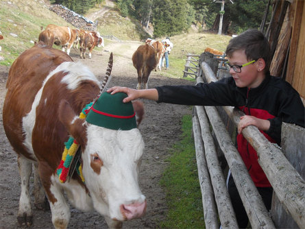 Oberredensberg Rasen-Antholz/Rasun Anterselva 8 suedtirol.info