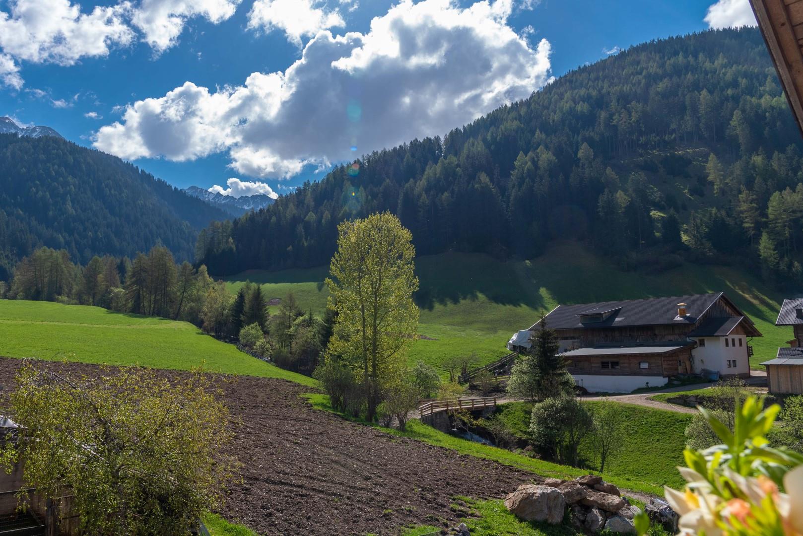 Oberhabererhof Valle di Casies 11 suedtirol.info