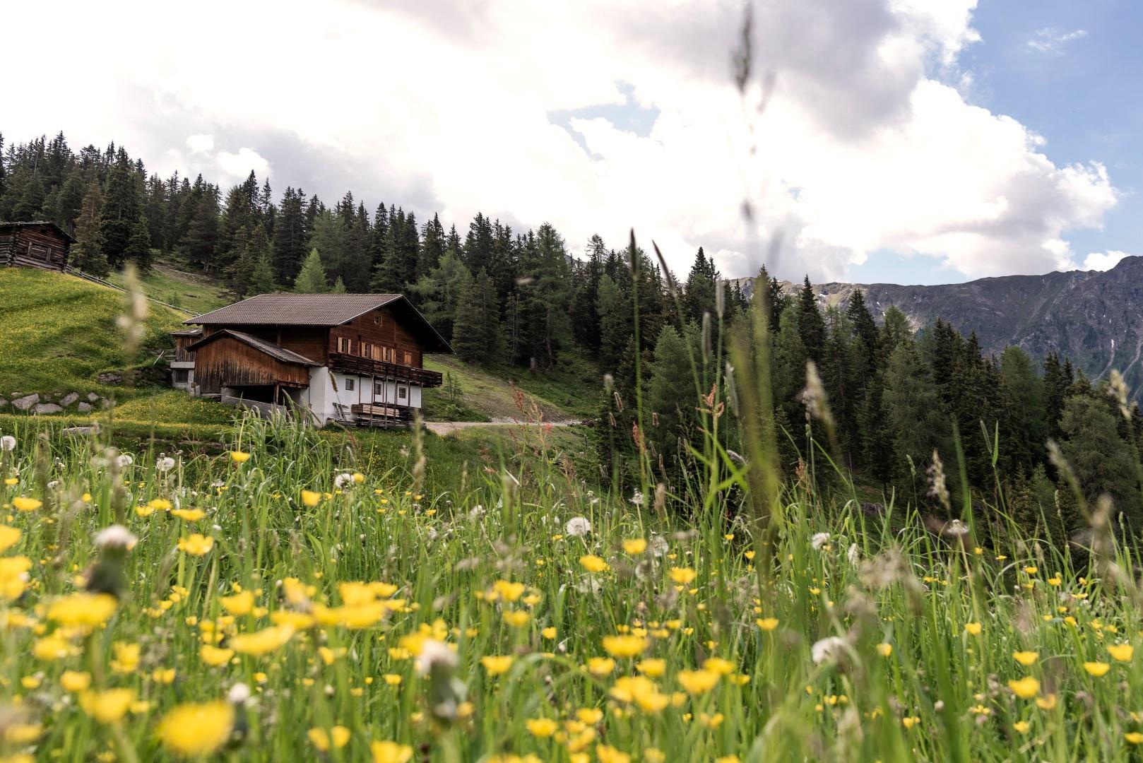 Oberhabererhof Valle di Casies 5 suedtirol.info