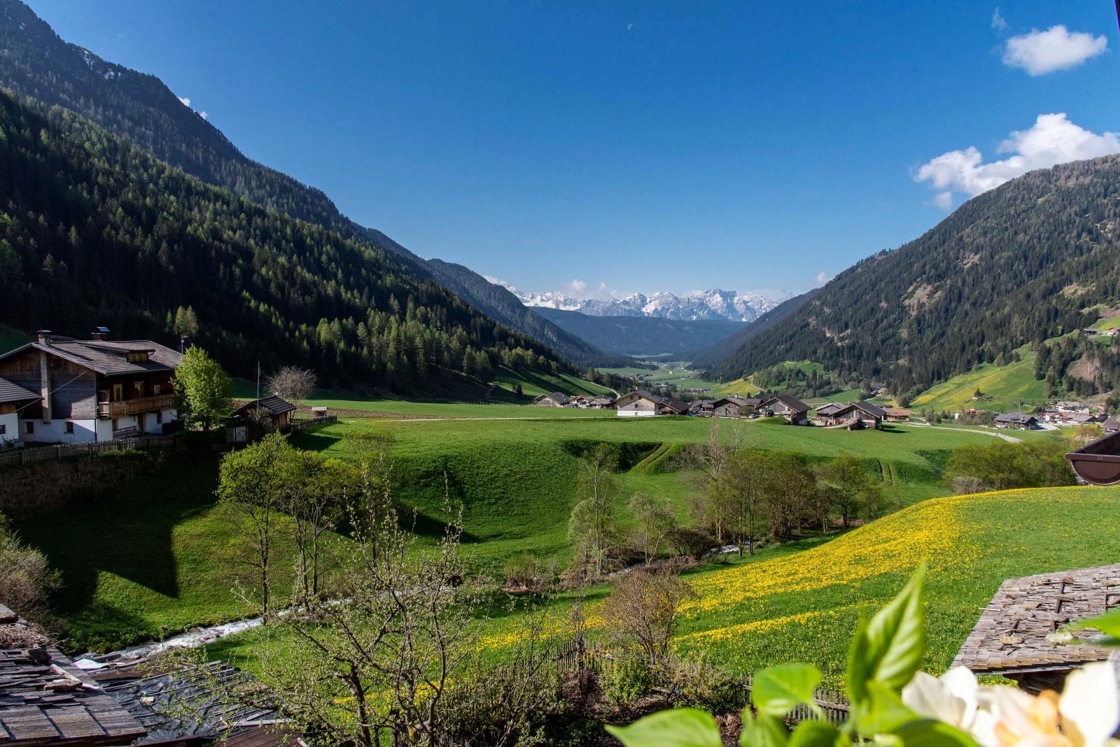 Oberhabererhof Valle di Casies 16 suedtirol.info