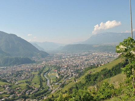 PLATTNERHOF Bolzano/Bozen 1 suedtirol.info