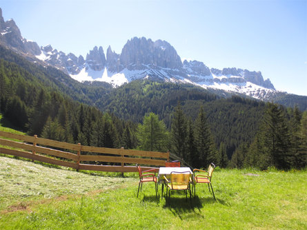 Malga Plafötsch Tires al Catinaccio 7 suedtirol.info