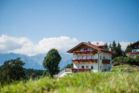 Platterhof Avelengo 1 suedtirol.info