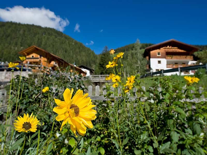 Pension Florian Ulten 3 suedtirol.info