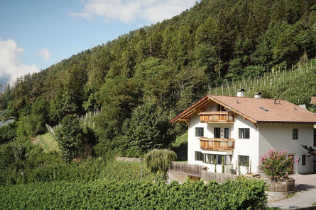 Ferienhaus Villa Vitis Riffian 1 suedtirol.info