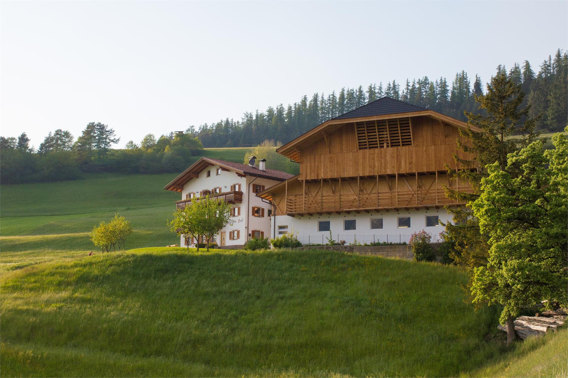 Pliegerhof Kastelruth 2 suedtirol.info