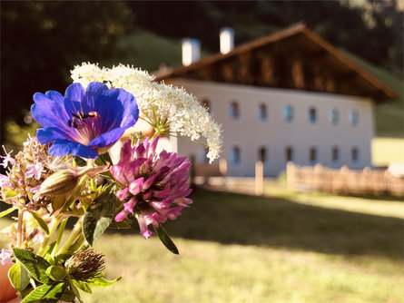 Plattnerhof Racines 8 suedtirol.info