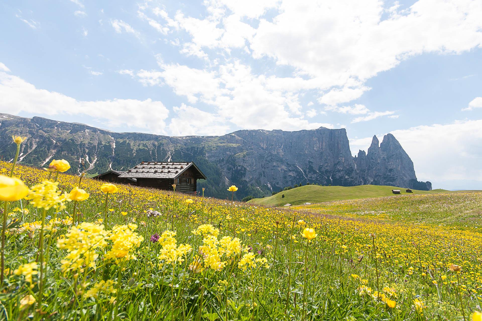 Puntschieder Schwaige Kastelruth 6 suedtirol.info