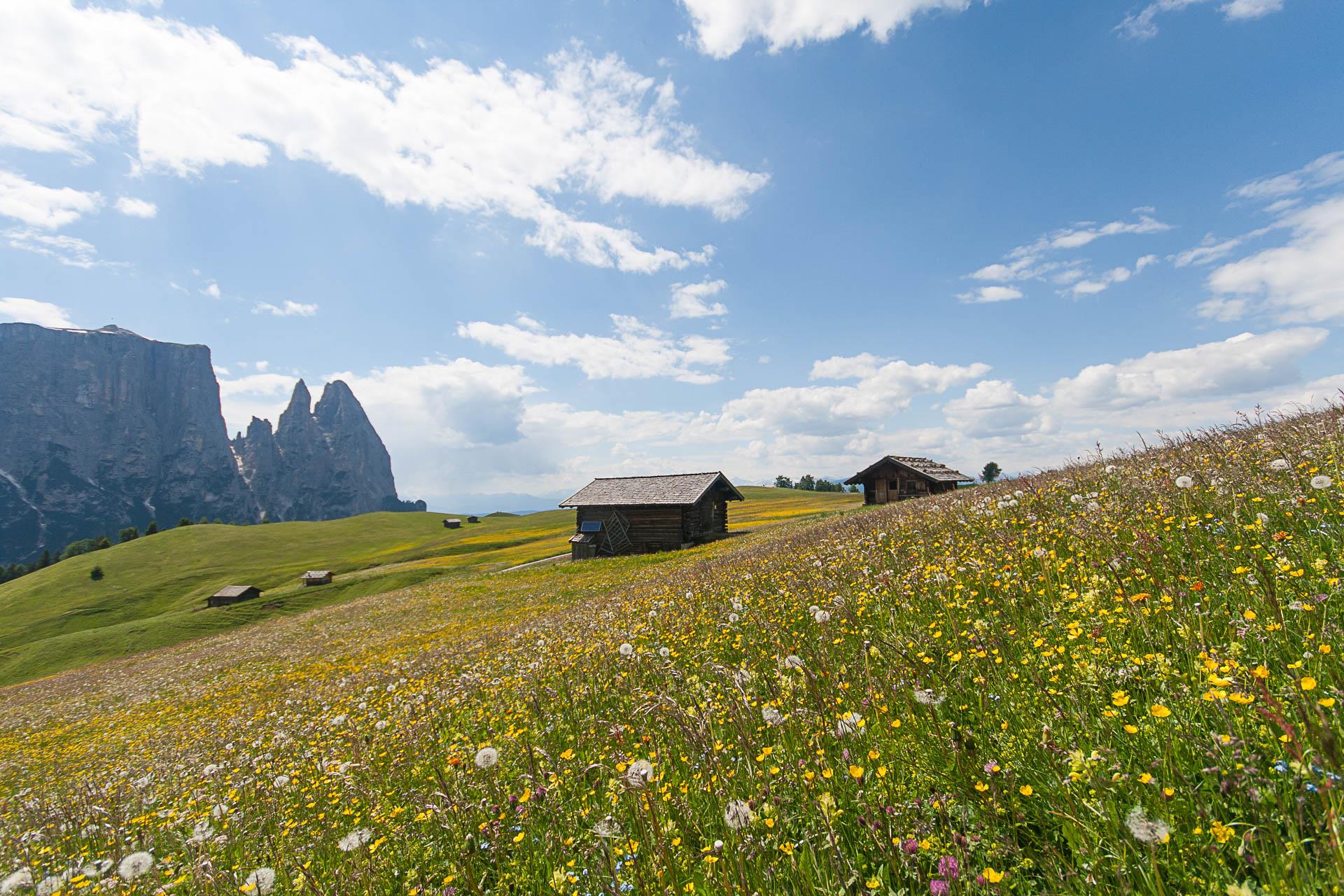 Puntschieder Schwaige Kastelruth 9 suedtirol.info