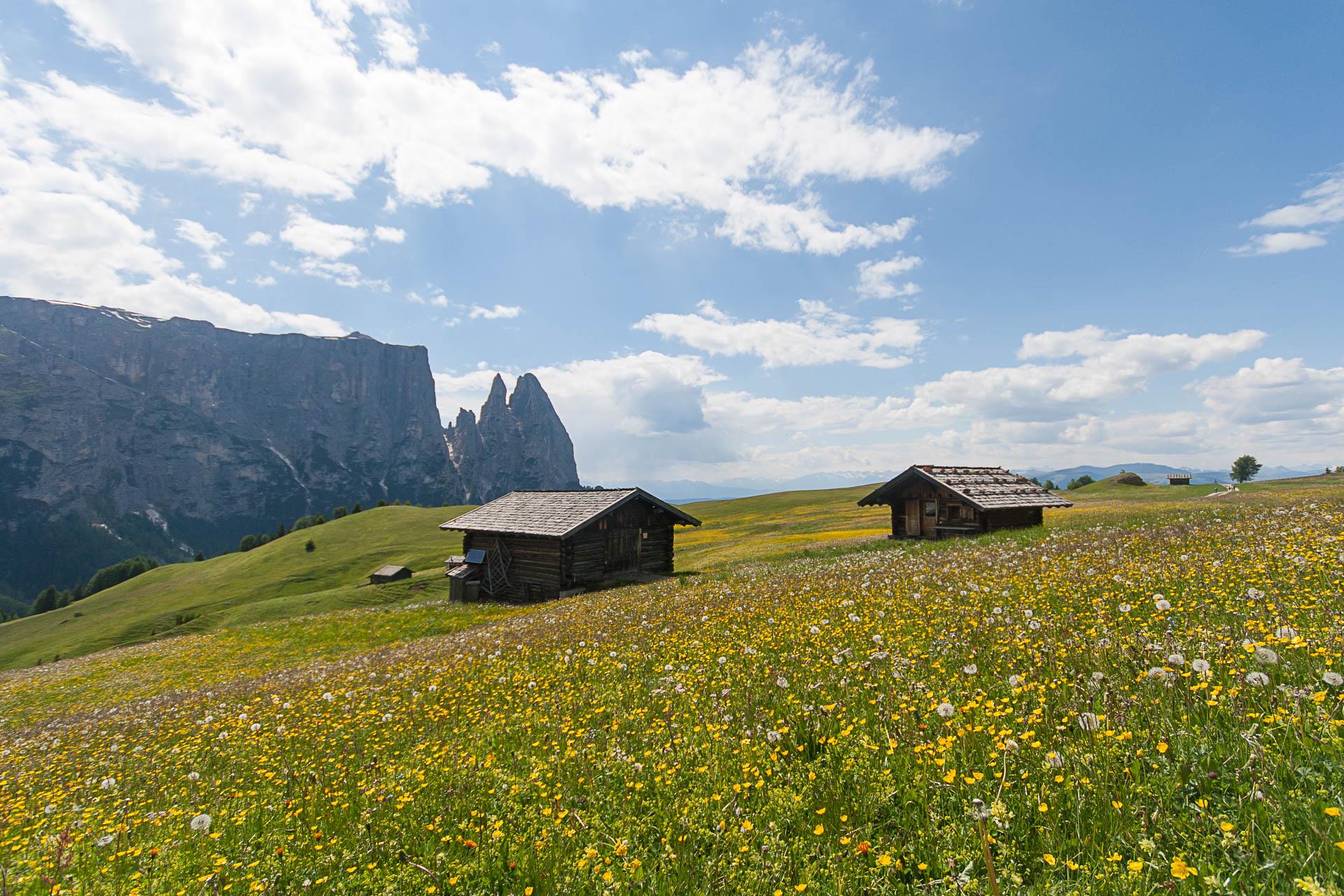 Puntschieder Schwaige Kastelruth 8 suedtirol.info