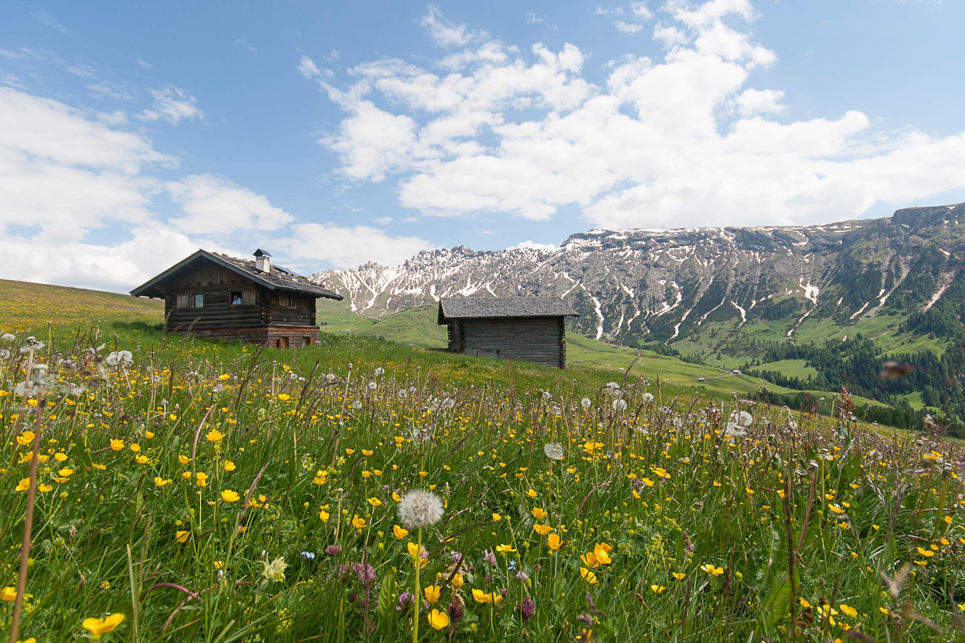 Puntschieder Schwaige Kastelruth 4 suedtirol.info