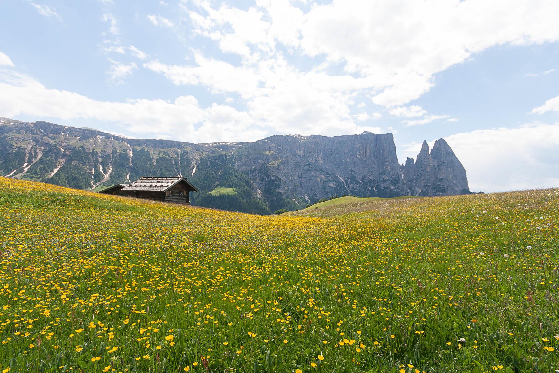 Puntschieder Schwaige Kastelruth 5 suedtirol.info