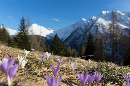 Affittacamere privata Valtelehof San Martino in Passiria 1 suedtirol.info