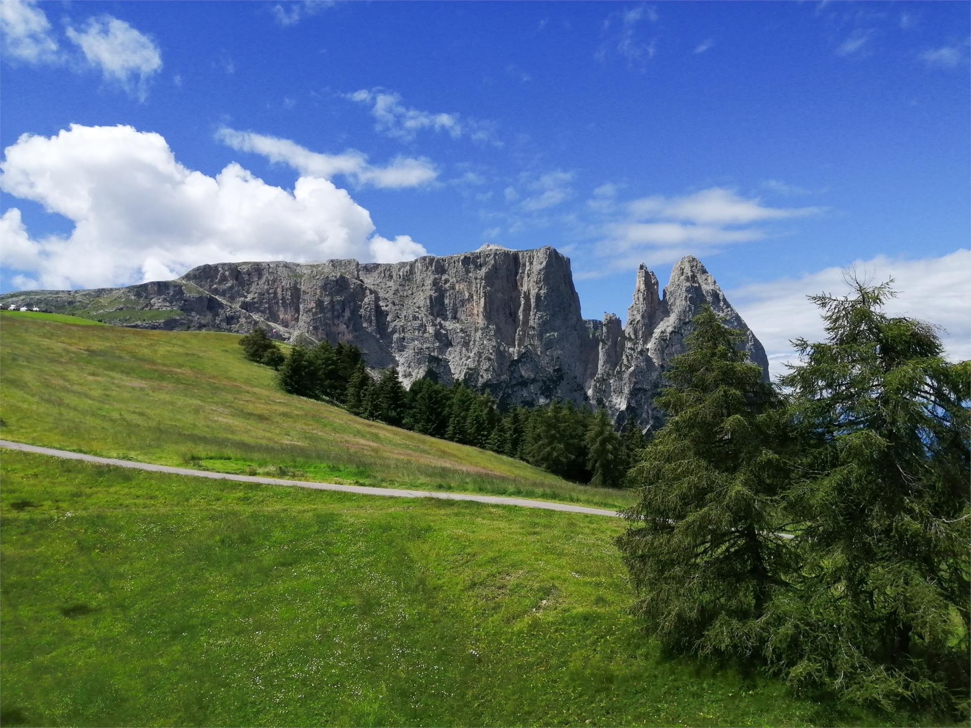 Pschoyerhof Kastelruth/Castelrotto 24 suedtirol.info