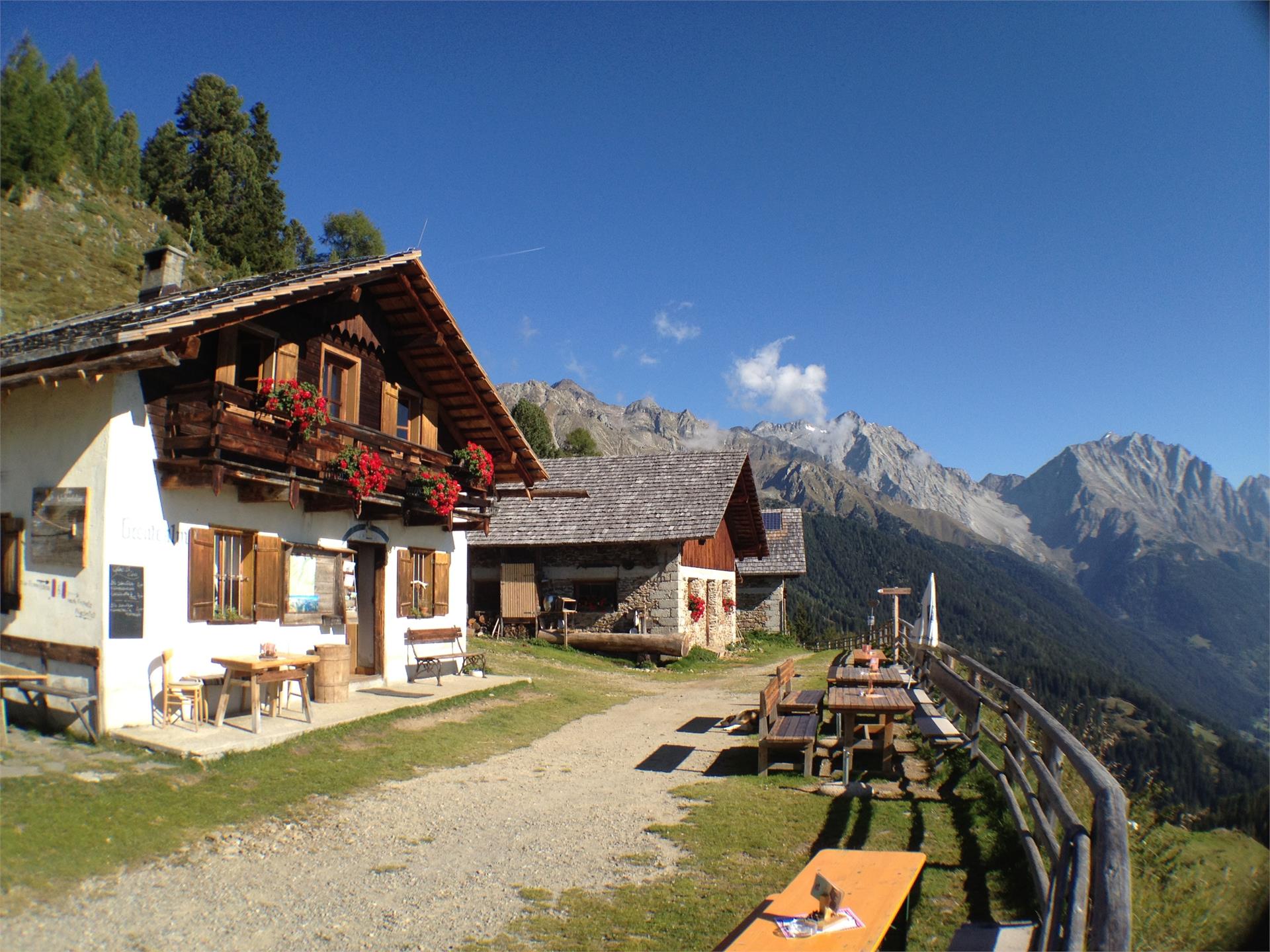 Pfaffingerhof Bio Bauernhof Rasen-Antholz/Rasun Anterselva 6 suedtirol.info