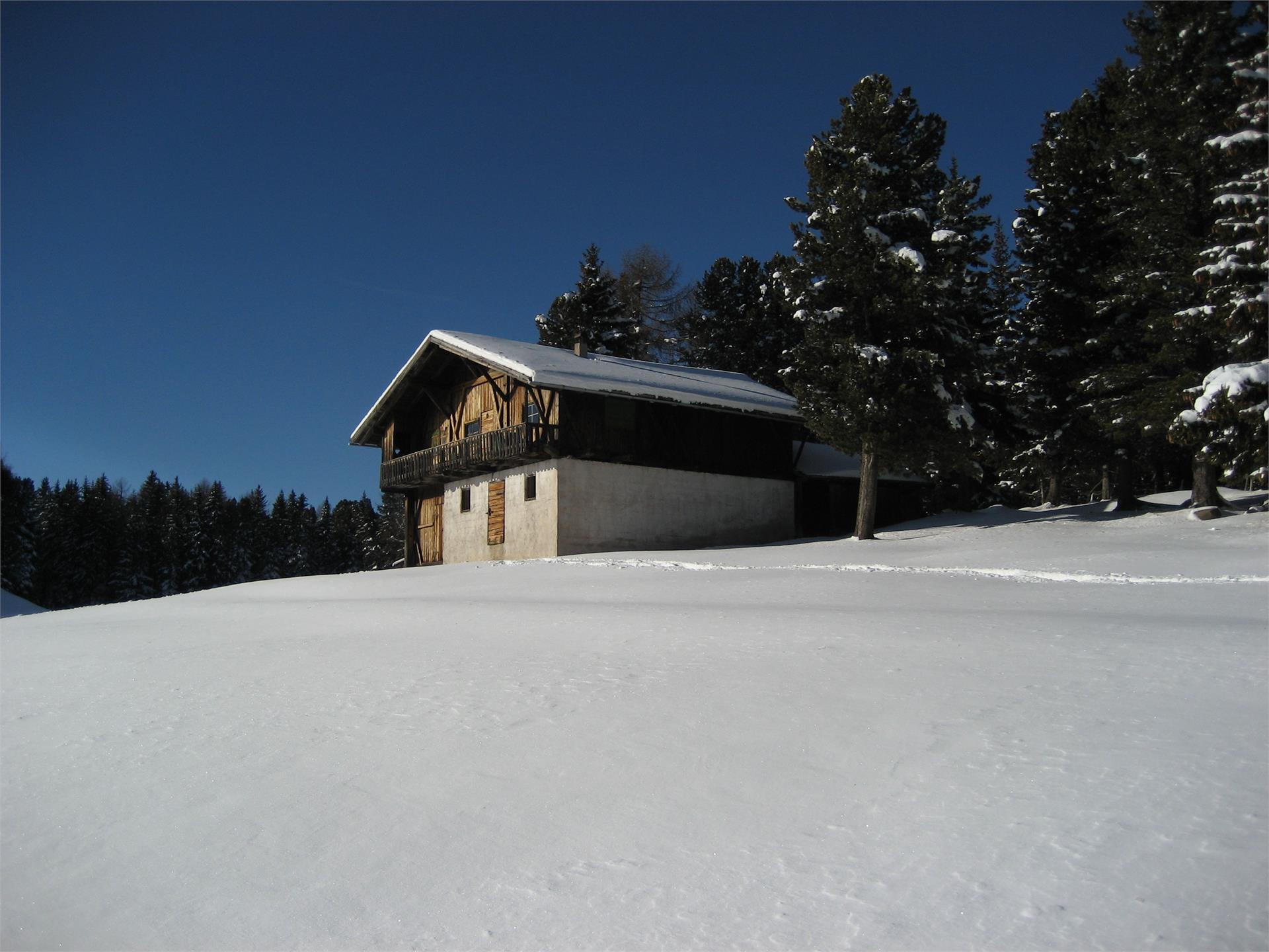 Pensione Hofer Vandoies 27 suedtirol.info