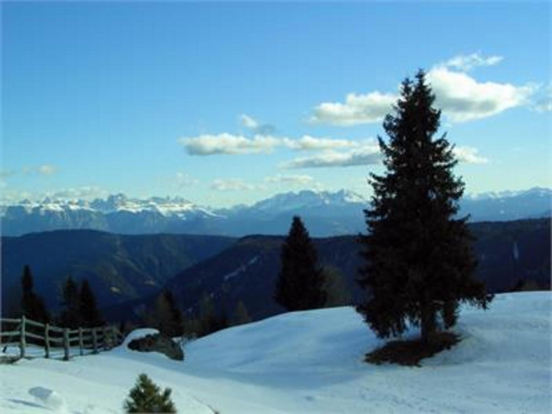 Pensione Sonnenblick Sarentino 6 suedtirol.info