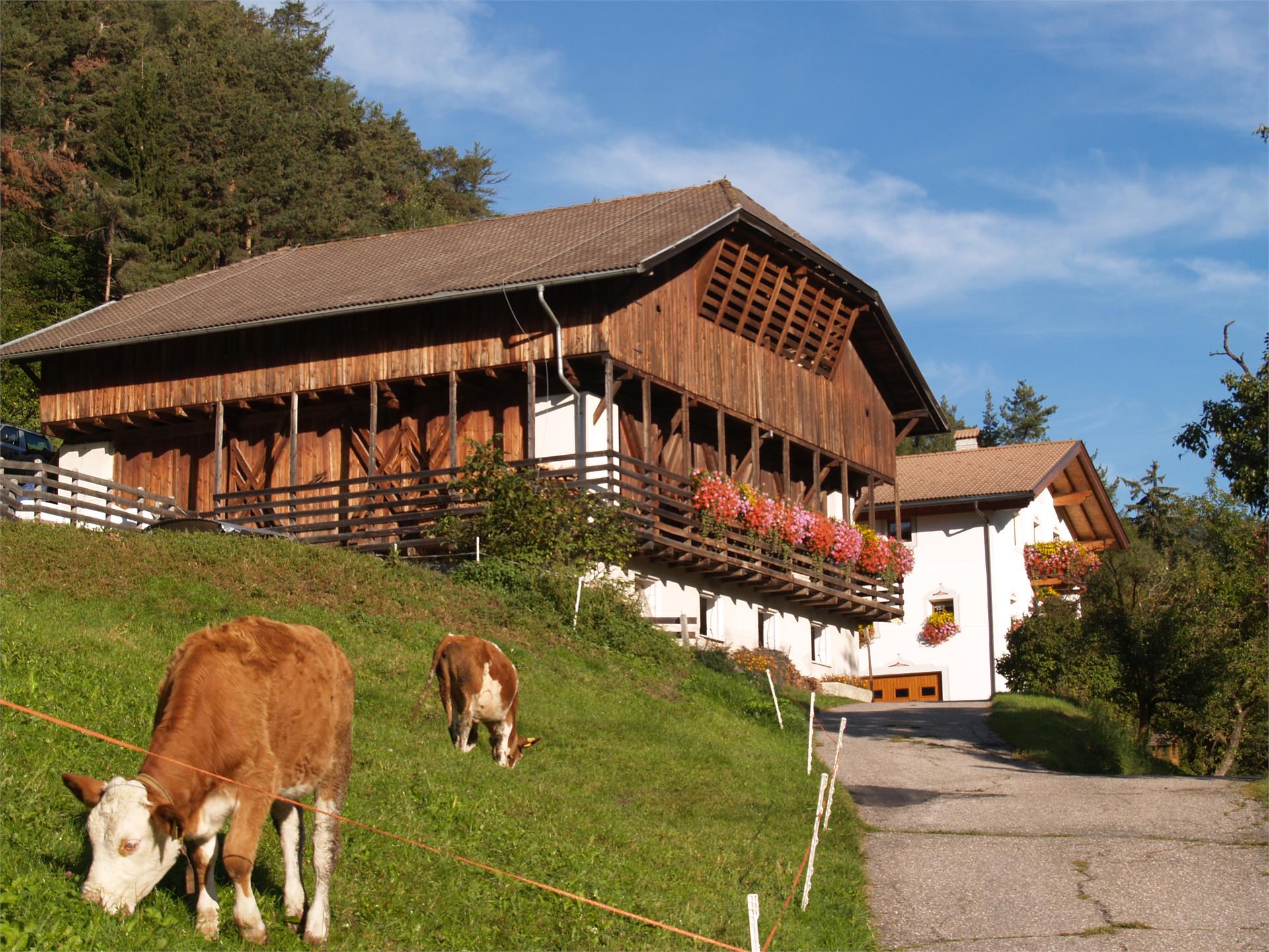 Pilgramhof Kastelruth/Castelrotto 2 suedtirol.info