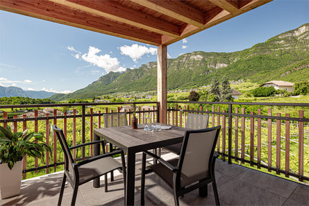 Prälatenhof Wine & Apartments Kaltern an der Weinstraße 25 suedtirol.info