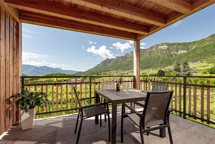 Prälatenhof Wine & Apartments Kaltern an der Weinstraße/Caldaro sulla Strada del Vino 26 suedtirol.info